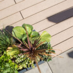 Terasové prkno Forest 137 Classic Teak 137x22x4000